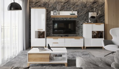 brio-s01